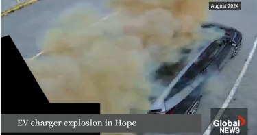 (圖/翻攝自Global News)