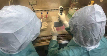 找到新冠肺炎解藥!長庚發現單株抗體 抑制病毒能力達98%
