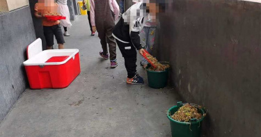 學生倒掉營養午餐「溢出垃圾桶」:太難吃!2公職人員遭停職