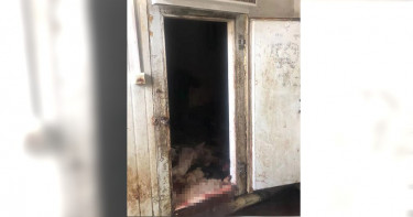 吃狗肉成癮!男專偷鄰居狗毒殺上百隻 冰庫堆疊「開腸剖肚」狗屍體