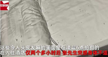 男入住旅館睡到一半「臉癢癢的」 開燈一看頭皮麻炸
