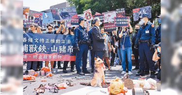 行政院15日拍板「野生動物保育法」部分條文修正草案，全面禁用獸鋏。圖為動物保護團體以山豬吊、捕獸鋏等金屬陷阱，訴求行政院修法終結金屬陷阱對動物造成的痛苦與傷亡。（圖／報系資料照）
