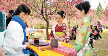 民喊「出國旅行是人權」 醫嘆:最擔心4月日本櫻花季,台灣人的最愛