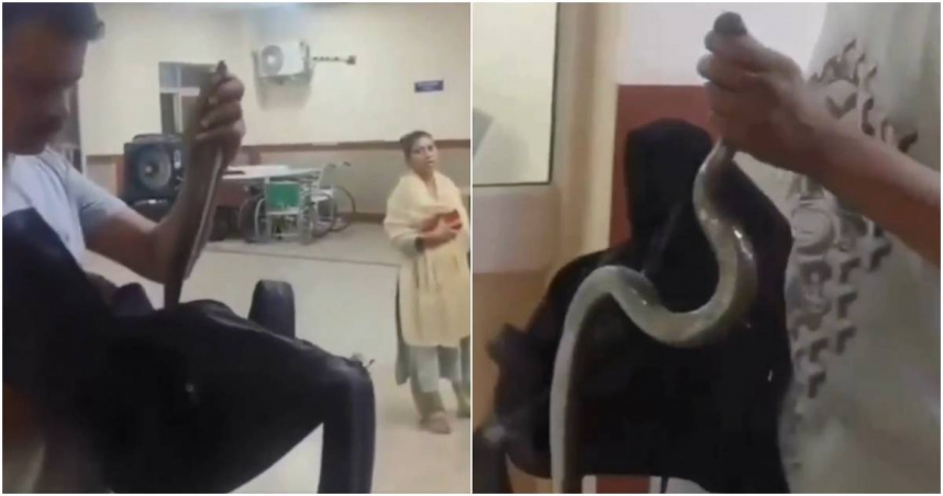 印度一名男子近日前往醫院就醫，他告知醫護人員自己遭蛇咬傷後，下秒竟從背包裡「拉出一條蛇」，嚇壞現場所有人。（圖／擷取自X）
