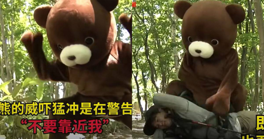 工作人員身穿玩偶裝演示遇到野熊時該如何自保。（圖／翻攝自臉書／NHK WORLD-JAPAN Chinese）
