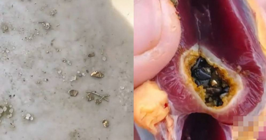 大陸湖南一名男子過年期間準備年菜，宰殺家中飼養的肉鴨，竟在肚中看到黃金。（示意圖／翻攝自《大象新聞》）