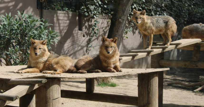 （示意圖／Pexels）