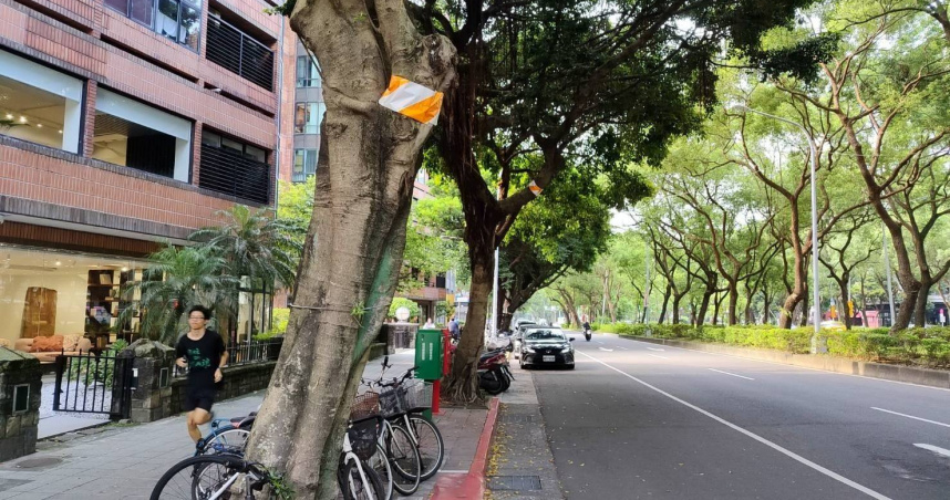 公園處表示，警示帶屬於安全提醒措施，並非代表樹木已判定需移除，更不是所謂「砍樹記號」。（圖／取自台北市政府網站）