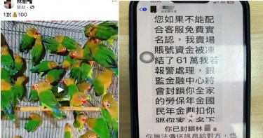 有男子在網路上欲購買100元一對的鸚鵡，未料遭賣家要求先繳付３萬元解鎖帳戶。（圖／警方提供）