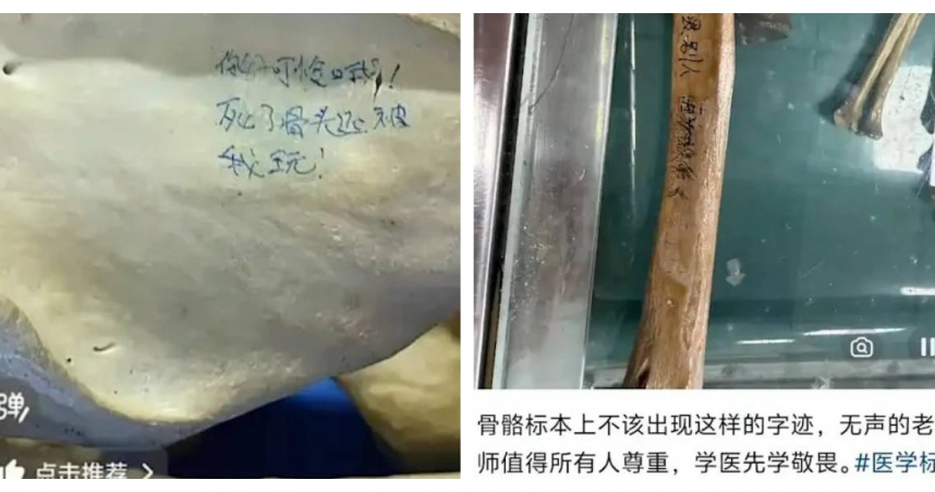 人體骨骼標本上出現「死了骨頭還要被我玩」等輕浮字句，引發網友批評。（圖／翻攝自大象新聞）