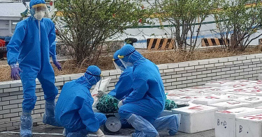 澎湖籍漁船走私2噸大閘蟹 將軍漁港闖關海巡甕中捉蟹