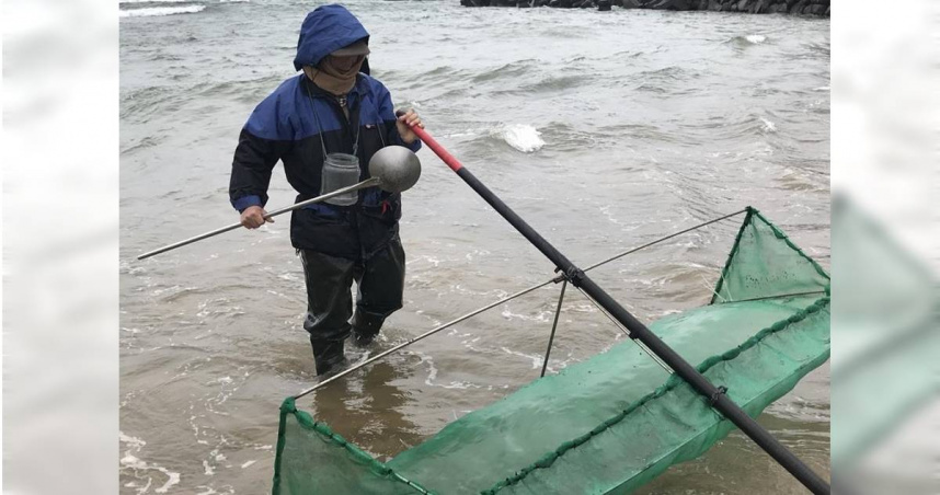 鰻苗捕撈期將於2月28日正式結束。（圖／新北市漁業處）