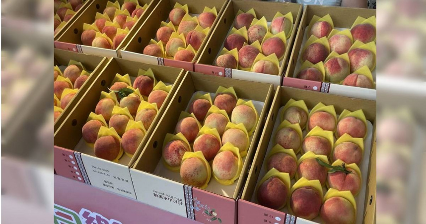 網友控訴拉拉山某水果店販售的水蜜桃幾乎都是爛的，當地農會得知後已介入協調賠償事宜。（示意圖／報系資料照）