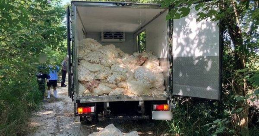 通霄驚現滿山蛋殼3人亂倒廢棄物遭法辦。（圖 ／翻攝畫面）