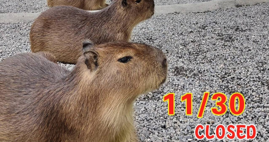 宜蘭「鹿爺爺農場」宣布12月熄燈。（圖／翻攝自臉書／鹿爺爺）