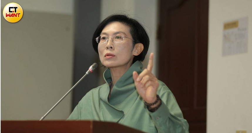 民進黨高雄市長初選參選人立委林岱樺。（圖／周志龍攝）