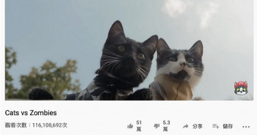 毛小孩當道 以貓咪為主角的短片在Youtube播放超過1億次