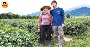 歸鄉創業做自己2/都市黑手變鄉村茶農 「開心農場」無毒耕作得獎頻頻
