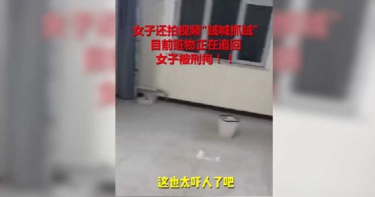 出差回來家被搬空!女友「賣家具還卡債」 錄影謊稱遭小偷
