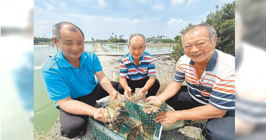 屏東蝦農期待5月17日登場的第7屆「賽神蝦」，盼這場年度嘉年華能為泰國蝦養殖產業再帶來更好的發展。（圖／中國時報謝佳潾攝）