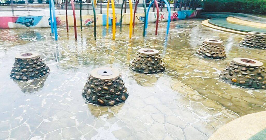 塭仔底溼地公園青苔濕滑恐跌倒　市府積極改善