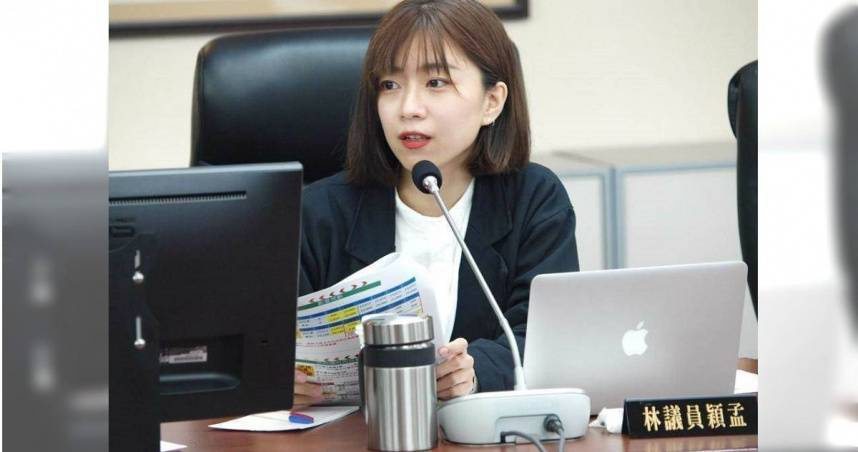 前無黨籍北市議員林穎孟疑似遭前夫林致光家暴，台北地院今依照傷害、家庭暴力防治法對其進行起訴。（圖／報系資料照）