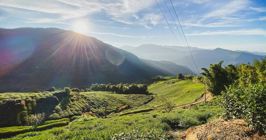 圖為阿里山好天氣。（示意圖／unsplash）