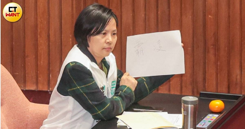 民眾黨支持黨籍立委李貞秀（圖）捍衛擔任立委的參政權立場。（圖／黃耀徵攝）