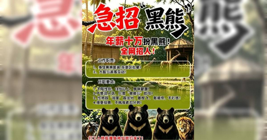 中國大陸河南省漯河市一間動物園近日釋出徵才訊息，以年薪人民幣10萬元招人「扮黑熊」。（圖／翻攝自微博）
