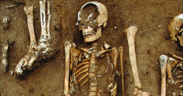 黑死病14世紀橫掃歐洲 英修道院挖出48名成人孩童遺骸