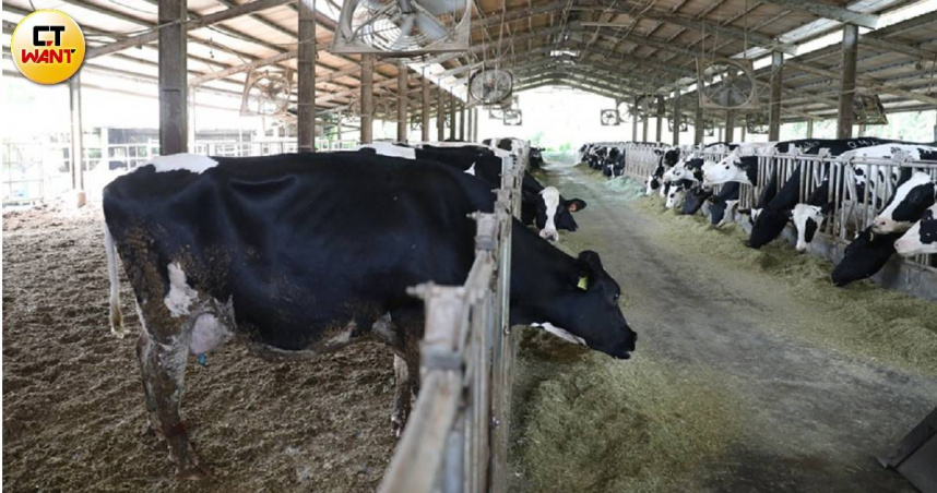 民眾黨立委張啓楷認為彰化縣很適合成為「班班有鮮乳」政策續命示範區。（示意圖／劉耿豪攝）