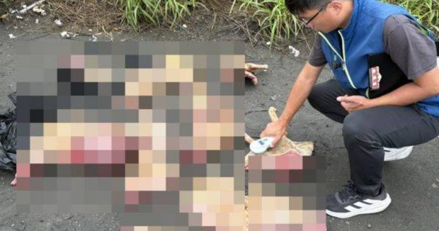 雲林麥寮查獲65公斤狗肉，越南移工人贓俱獲。（圖／翻攝畫面）