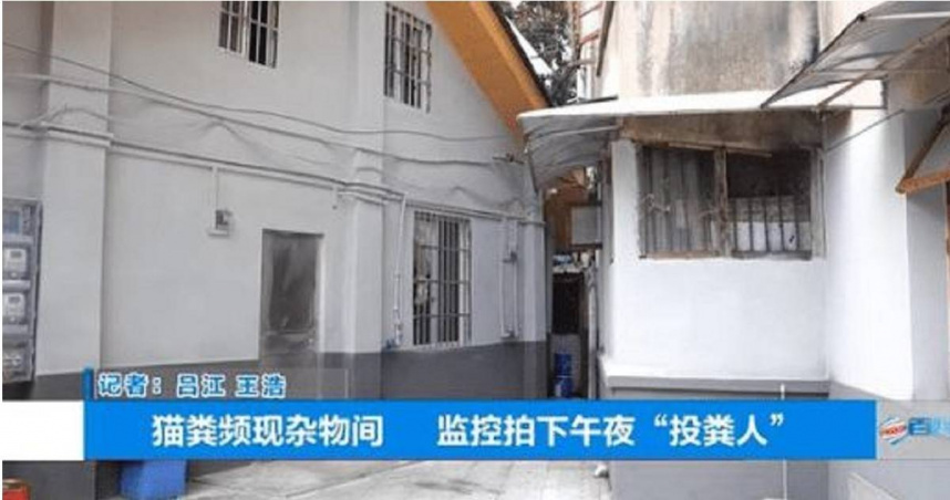 楊女士位於寶山南路的雜物間，多次遭人投放貓糞，惡臭四散。（圖／翻攝自極目新聞）