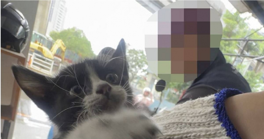 小貓為躲避颱風鑽進機車中卻出不來，所幸有員警即時救援，小貓也當場被領養。（圖／翻攝畫面）