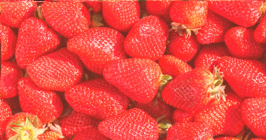 農業部整理出台灣常見草莓品種與正確挑選、保存方式。（示意圖／翻攝自unsplash）