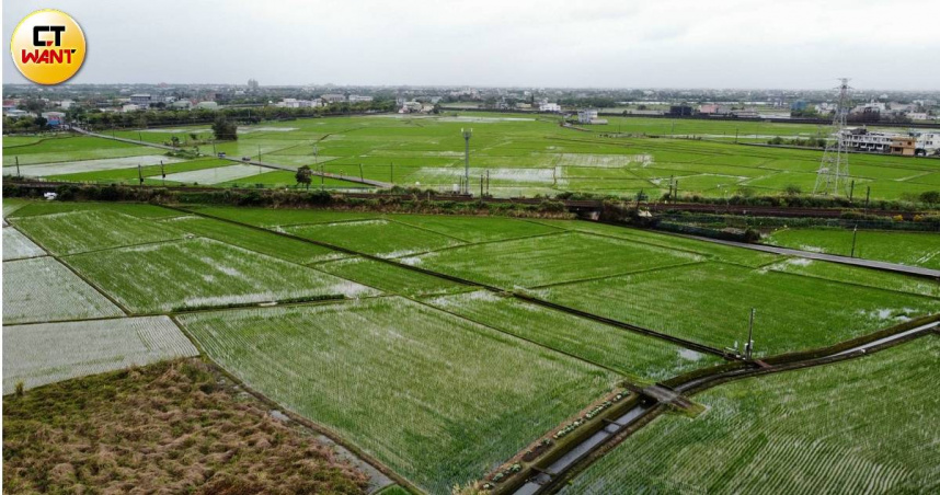 宜蘭縣頭城鎮青雲路上有大片農田，5、6月間的黃金稻穗搖曳美景更吸引大批遊客前往觀光，這片良田卻在國土功能分區圖中被劃成城鄉發展地區。（圖／本刊影音組）