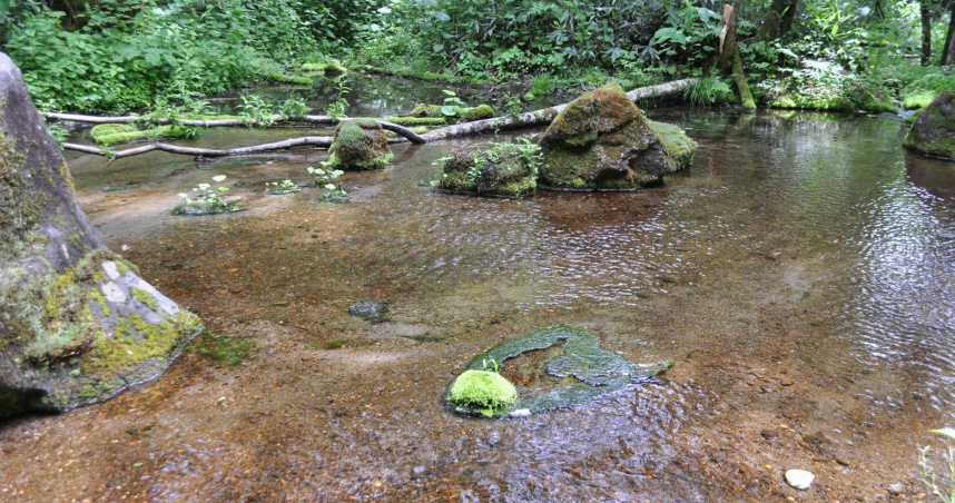 野外水源不乾淨，醫師提醒別直接生飲。（圖／photoAC）