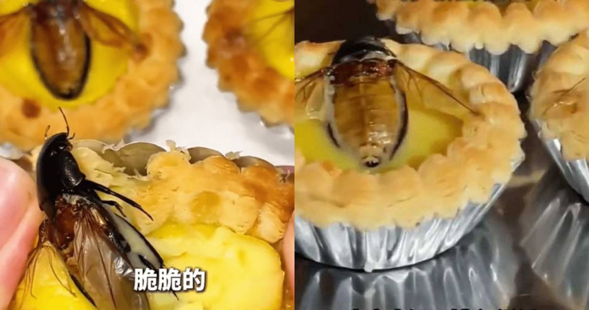 中國廣東佛山一名男子自製「水蟑螂蛋塔」。（圖／翻攝微博）