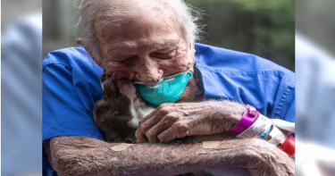 88歲老翁突中風癱瘓 忠犬「聽懂主人話」及時救援!