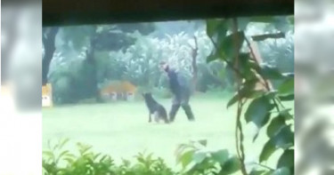 桃園警犬訓練所驚爆虐狗!訓練員持鞭毆打騰空吊甩