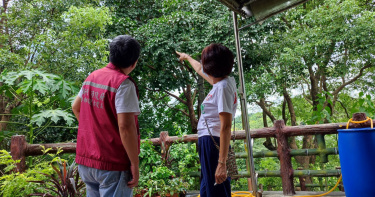 樹上一直傳來喵喵叫聲疑似貓咪受困。