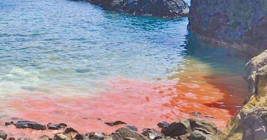 澎湖七美臥牛灣3日早上再見珊瑚產卵的粉紅派對美景，這也是澎湖今年第1筆紀錄。（圖／翻攝畫面）