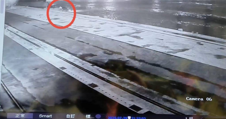 高雄港驚傳休旅車高速衝入海！　黑狗獨游現蹤駕駛尋獲已身亡多時