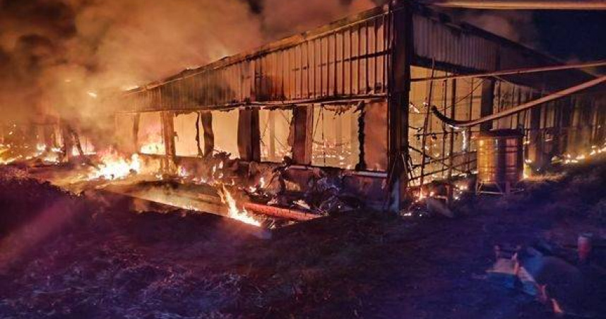 雲林四湖智慧養鵝場慘遭烈焰吞噬，2000鵝命喪火海。（圖 ／翻攝畫面）