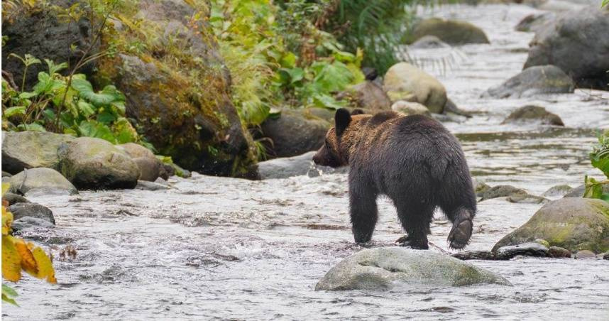 （示意圖／翻攝pixabay）