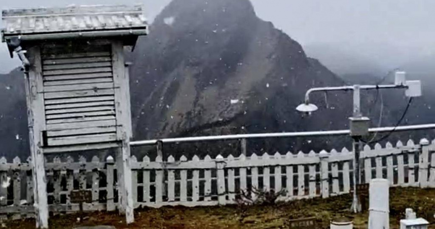 玉山20日中午出現入秋首場降雪，雪花落地即融，畫面唯美不留積雪。（圖／玉山國家公園提供）