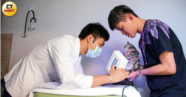 毛小孩經濟3/中藥吃下肚 寵物也能補中益氣