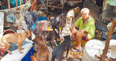高雄椰子伯花光700多萬畢生積蓄只為浪浪 網友感動募資