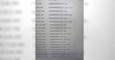 Garmin被綁1/電腦遭駭客綁架 關鍵2檔案曝光