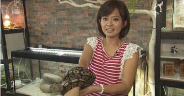 麥玉潔為《中天晨報》豁出去 電流蟒蛇上身沒在怕